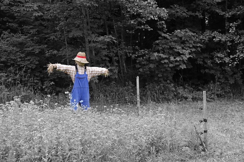 scarecrow-670720_960_720.jpg